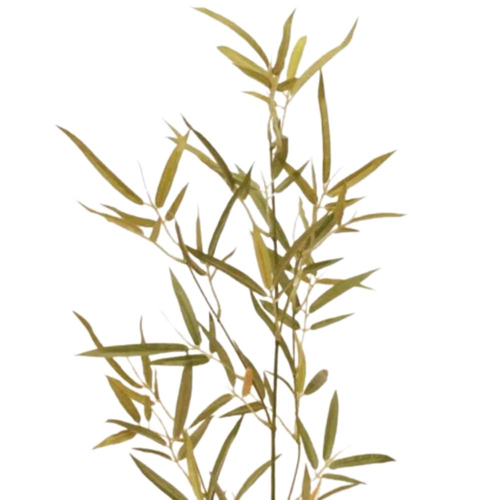 Buy Bamboo Online Pod Furniture Ireland