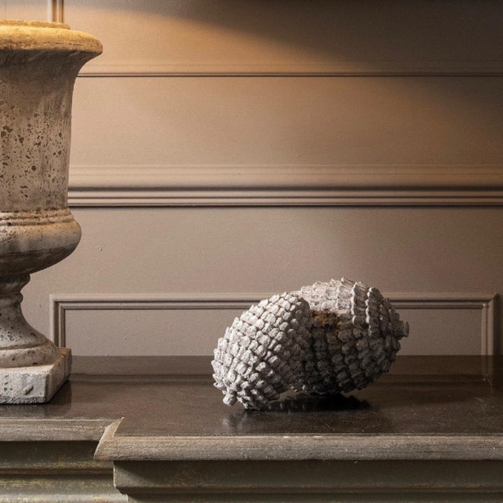 Shirdley Small Decorative Pinecone Pod Furniture Ireland