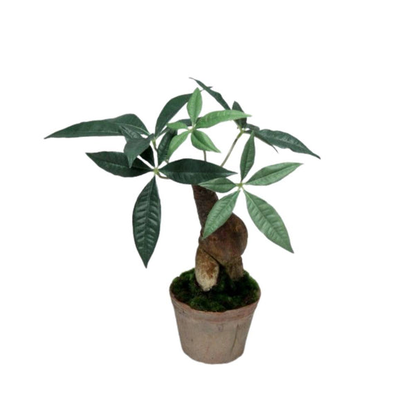 Faux Malabai Chestnut Potted Plant Pod Furniture Ireland