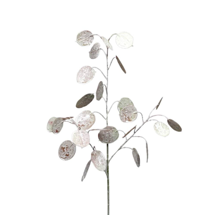 Faux Silver Dollar Spray Pod Furniture Ireland