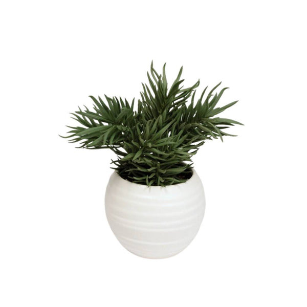 Faux Sedium Potted Plant Pod Furniture Ireland