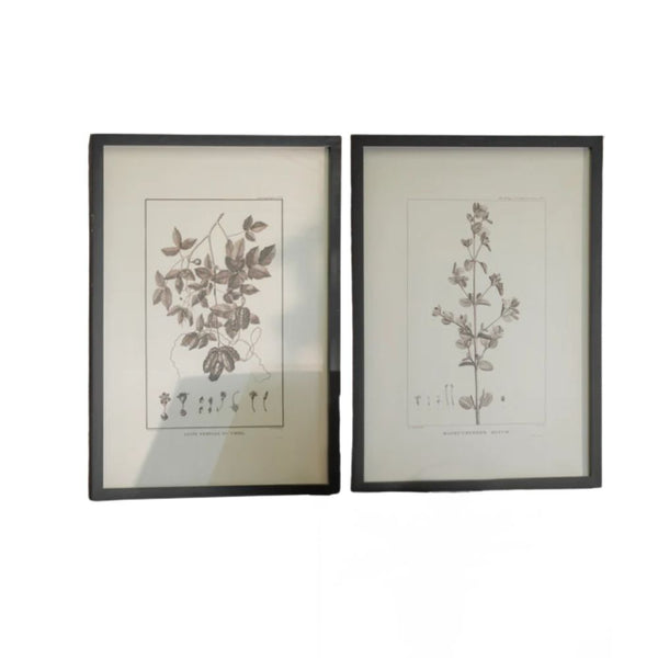 Ally Set of 2 Framed Rufum and Chilli Prints