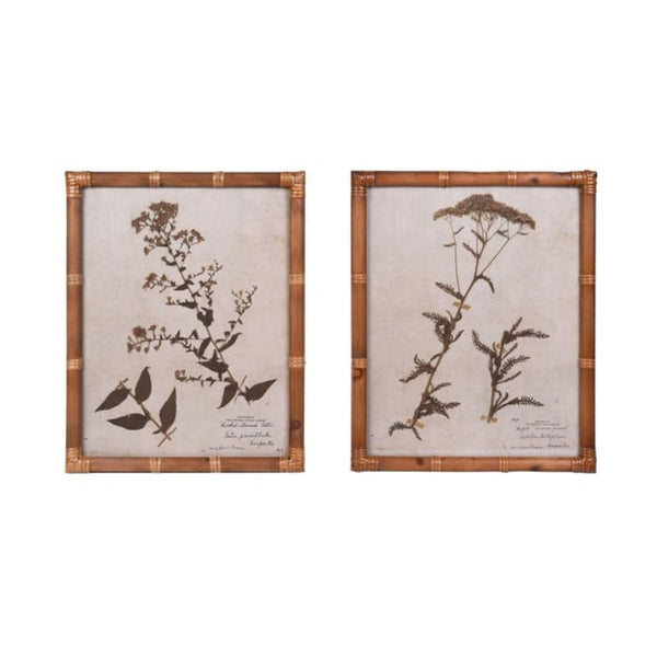 Vintage Botanical Frames Prints - Set of 2