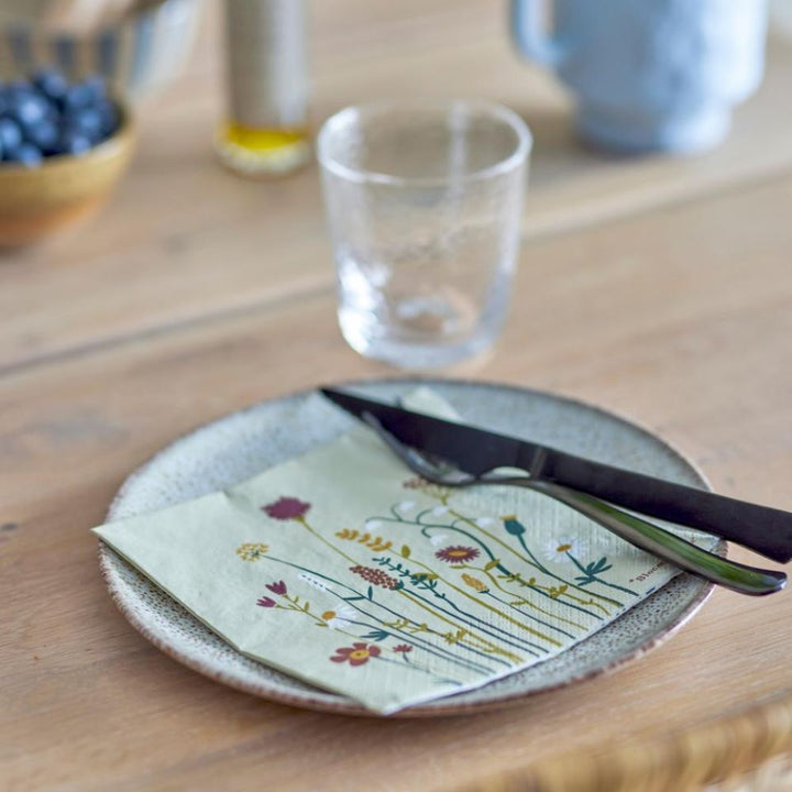 paisley napkin nature