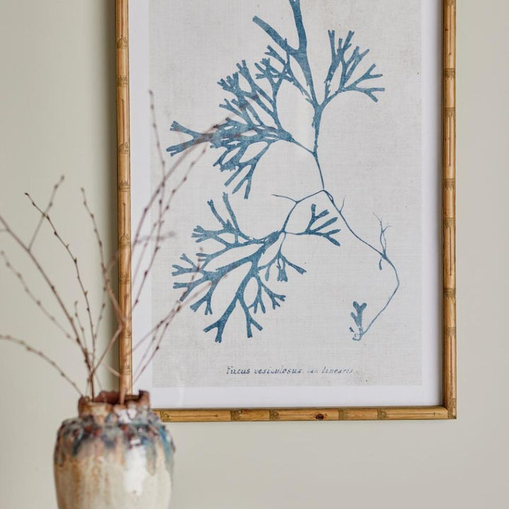 sumayah illustration with frame nature
