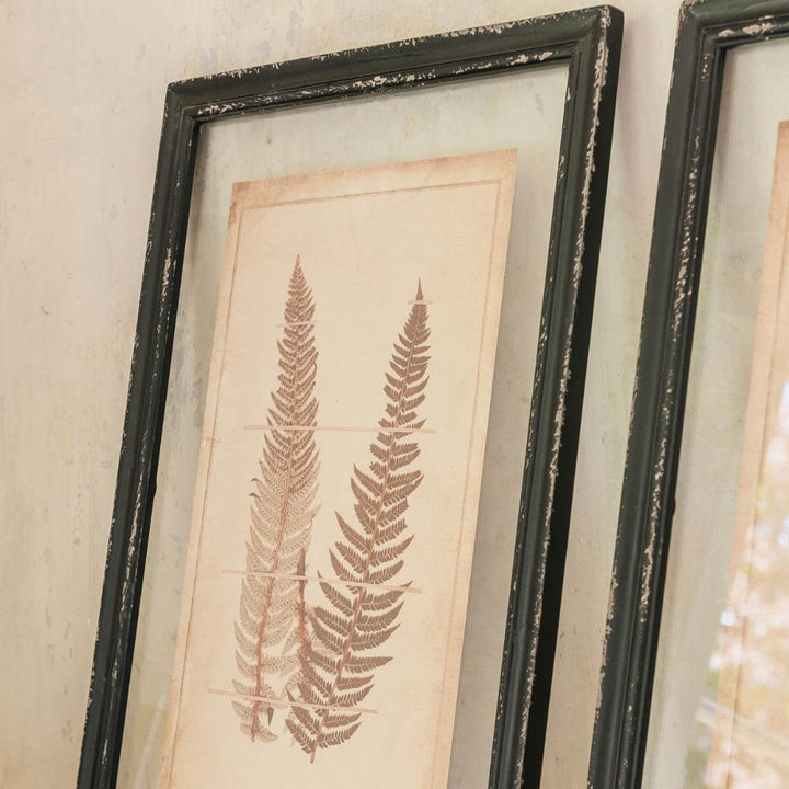 bethany set of two framed fern wall art