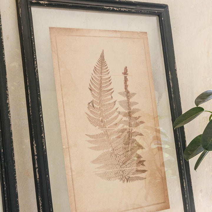 bethany set of two framed fern wall art
