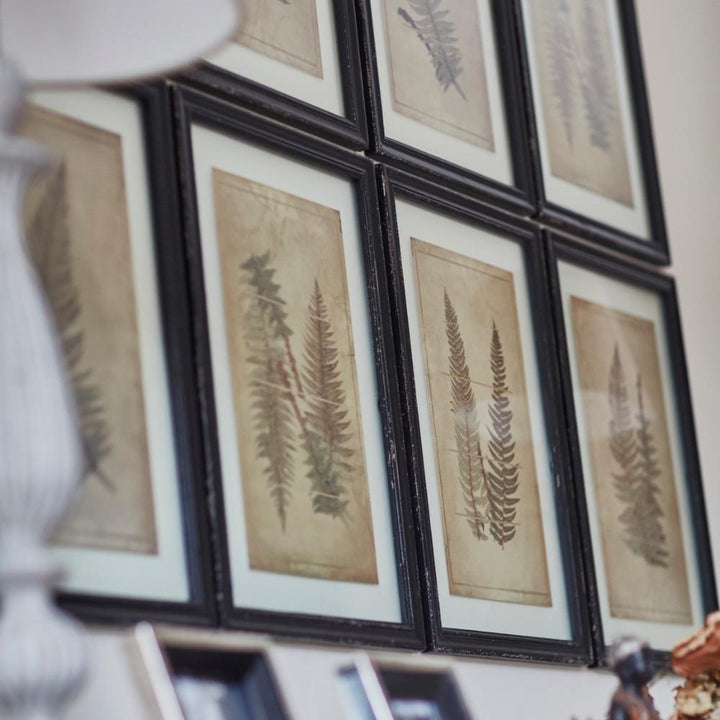bethany set of two framed fern wall art