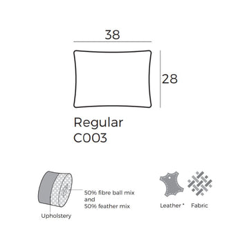 C003