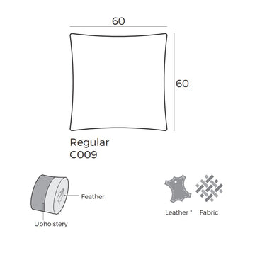 C009