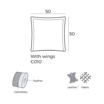 C010
