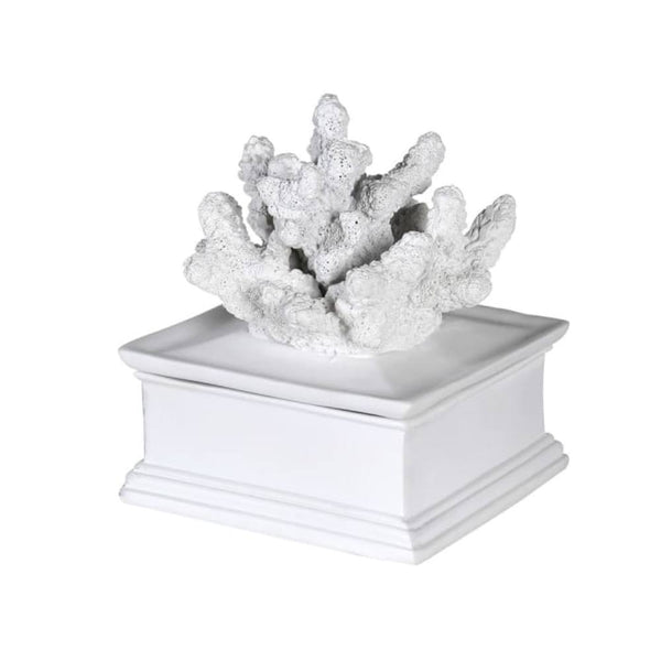 Coral Lid Decor Box