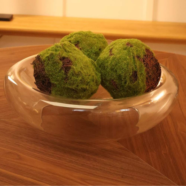 large curved reversible glass bowl