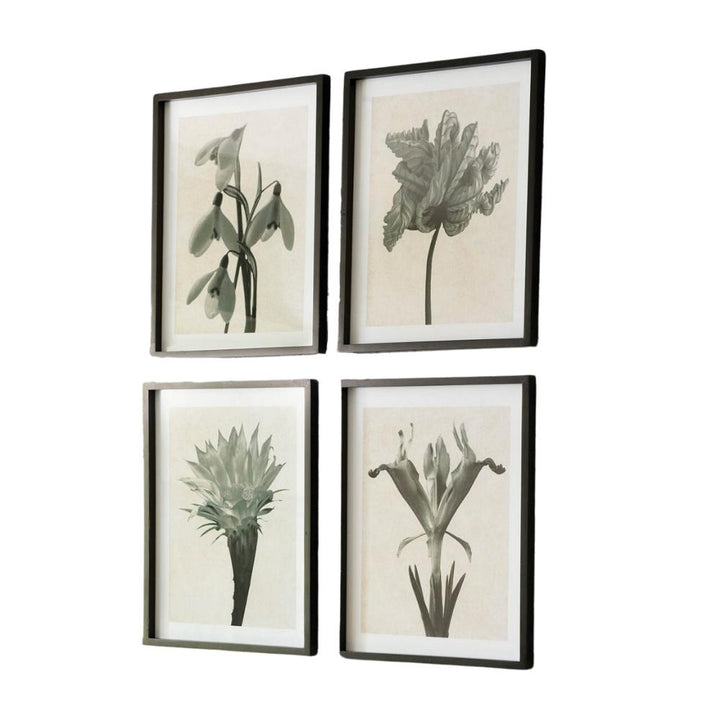 set of four framed monochrome floral wall art