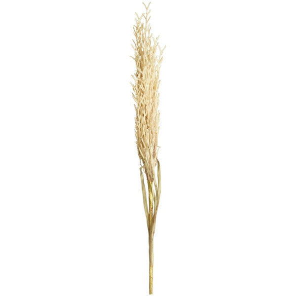 Reed Spray - Natural - 130cm Exner