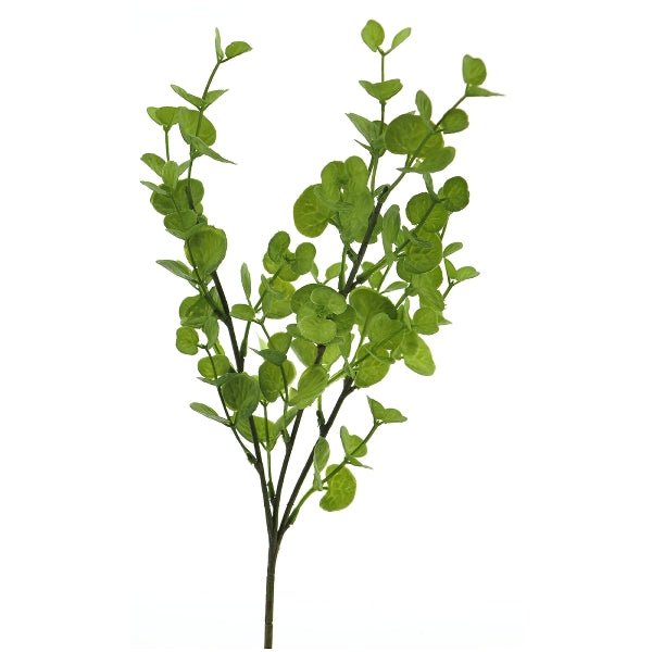 Eucalyptus Spray - Pod Furniture Ireland