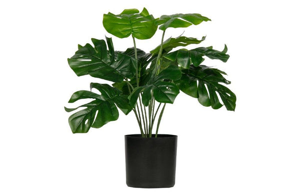 Monstera - Faux Plant Podfurniture