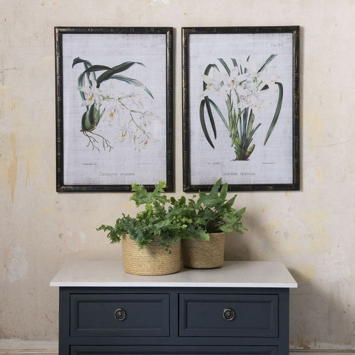 Brook Set of 2 White Orchid Framed Prints - Pod Furniture Ireland