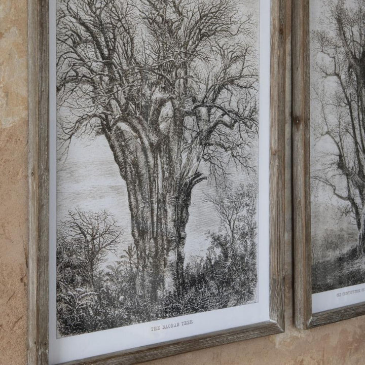 Old Tree Artwork - set of 2 one world