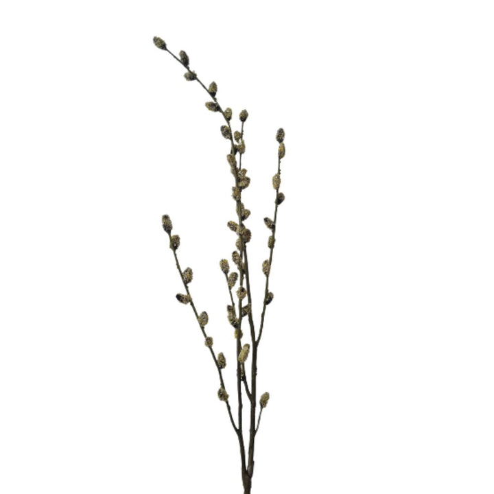 Pussy Willow Branch 125cm Silk Ka