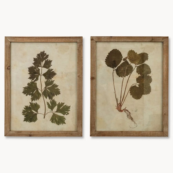 Brook Leaf Framed Prints - Set of Two - Pod Furniture Ireland