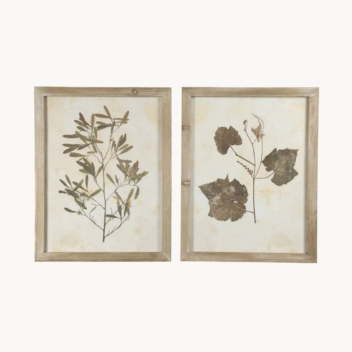 Brook Framed Leaf Prints - Set of Two - Pod Furniture Ireland