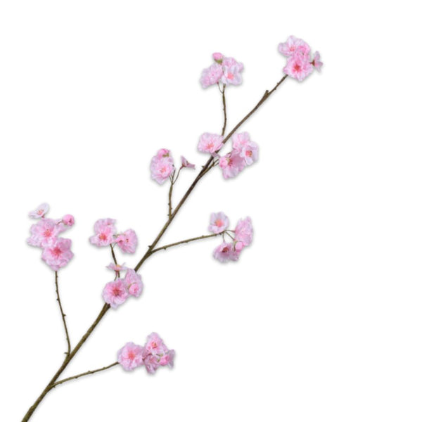 Pink Cherry Blossom 116cm Silk Ka