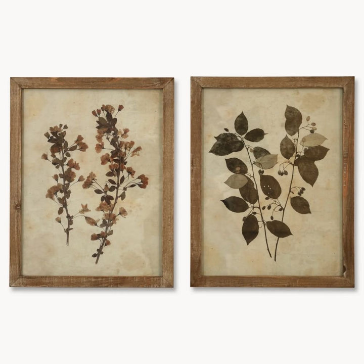 Brook Set of 2 Leaf Framed Prints - Pod Furniture Ireland