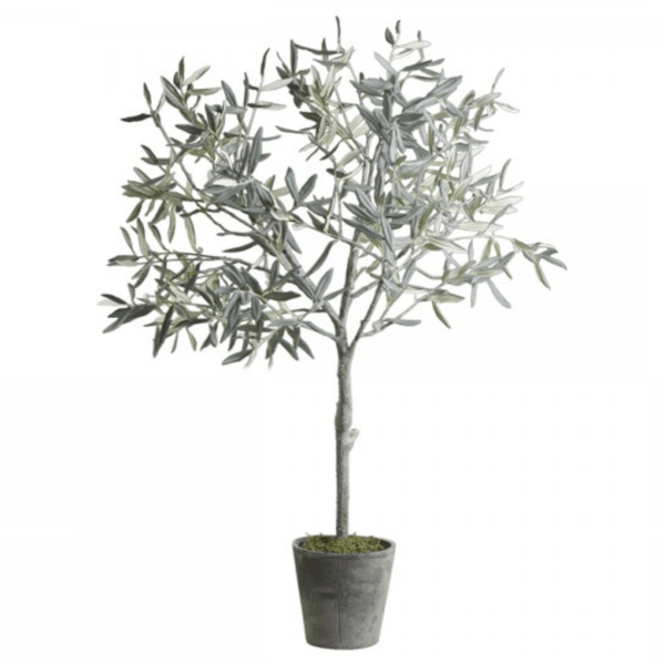 Fleur Olive Tree in Ceramic Flowerpot Chic Antique