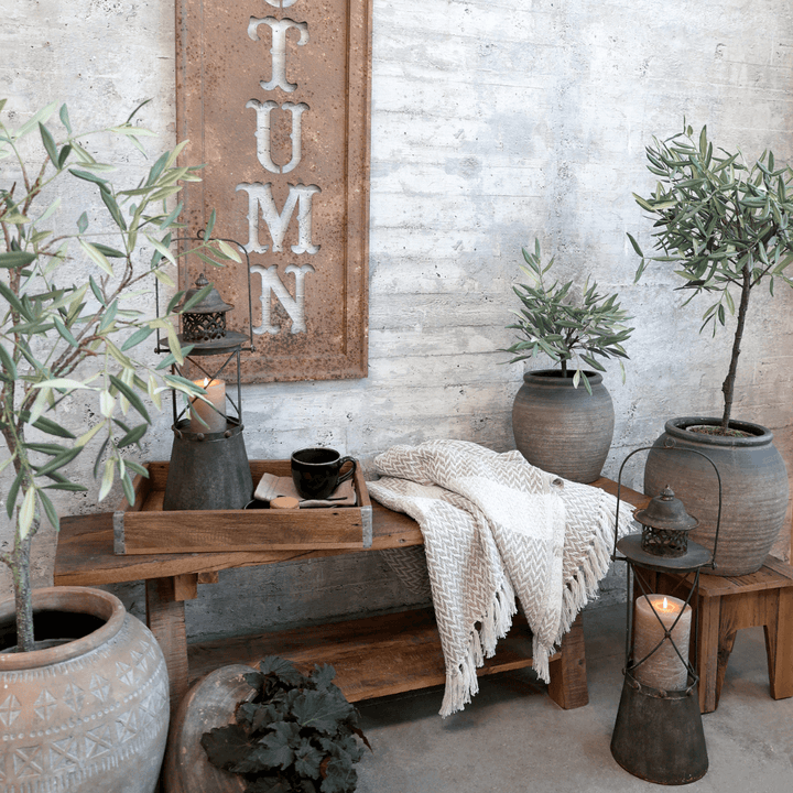 Fleur Olive Tree in Ceramic Flowerpot Chic Antique
