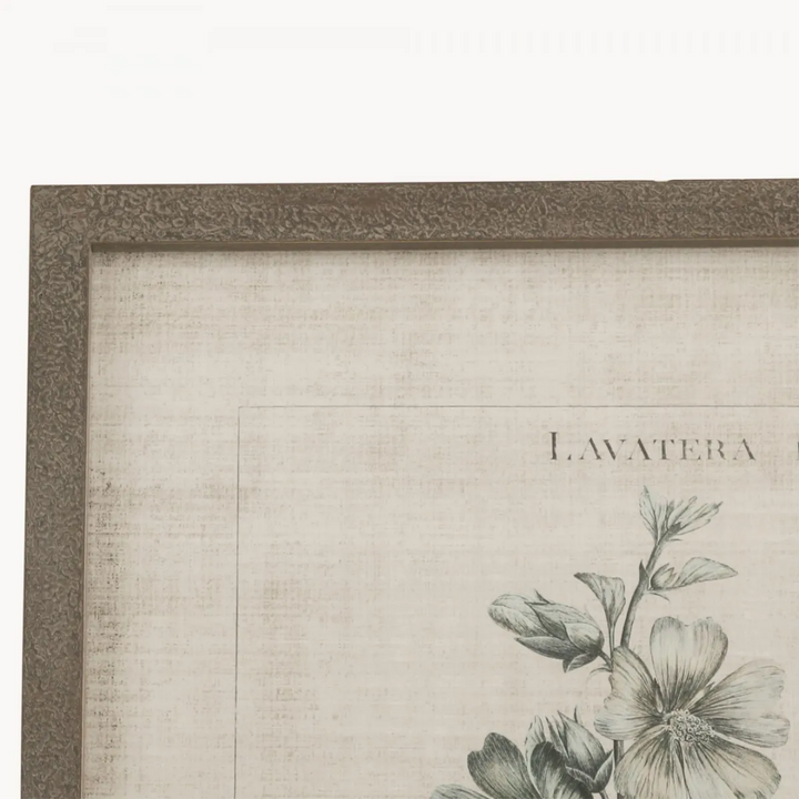 Set of 2 Lavatera Framed Prints one world